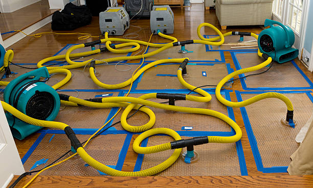 Professional Basement Flood Cleanup technician working in Brimfield, OH